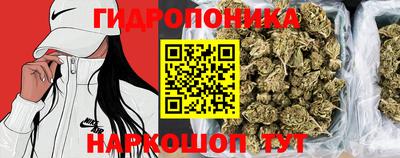дживик Нарткала