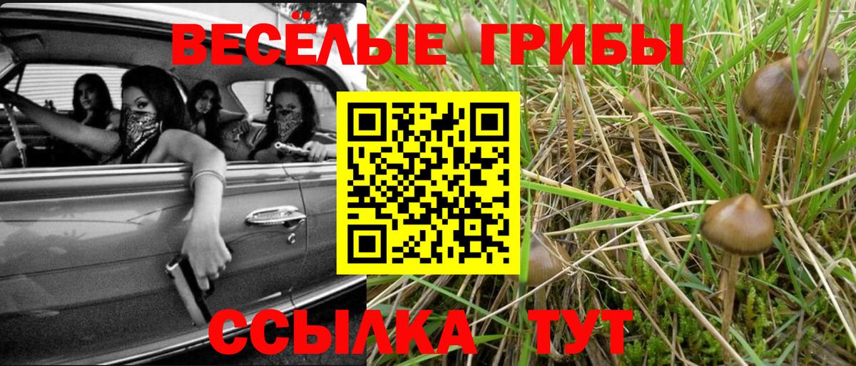 Псилоцибиновые грибы ЛСД Сыктывкар
