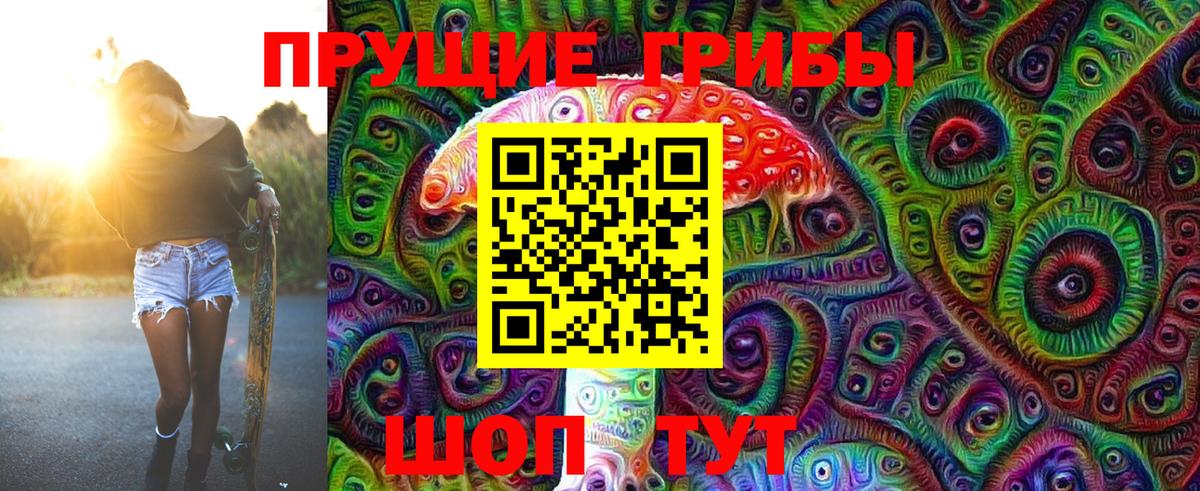 Сыктывкар  дарнет шоп  Вход с VPN  Галлюциногенные грибы Psilocybe  Псилоцибиновые грибы Magic Shrooms 